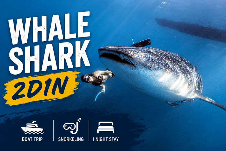 2D1N Whale Shark Sumbawa